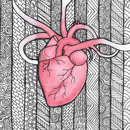 Heart