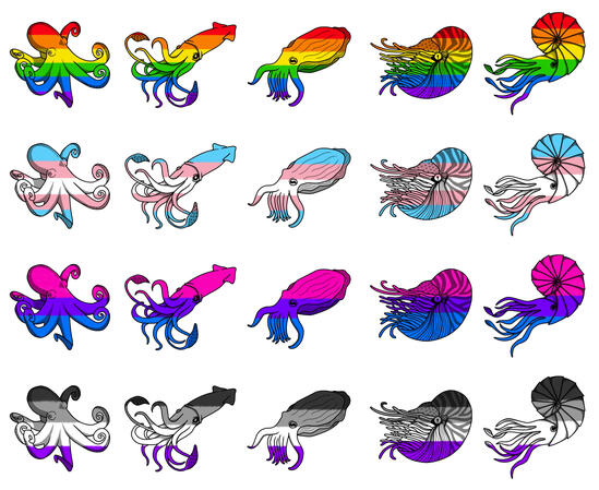 Pride Cephalopods