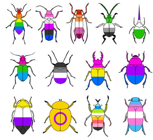 Pride Beetles