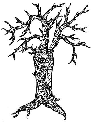 Eye
